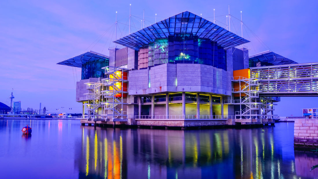 Oceanário de Lisboa: One of Europe’s Best Aquariums