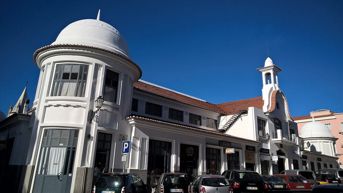 Lisbon Beyond the Obvious: Alternatives from a Local