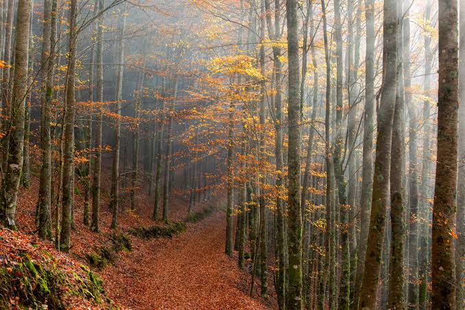 ONE OF PORTUGAL’S MOST BEAUTIFUL AUTUMN WALKS