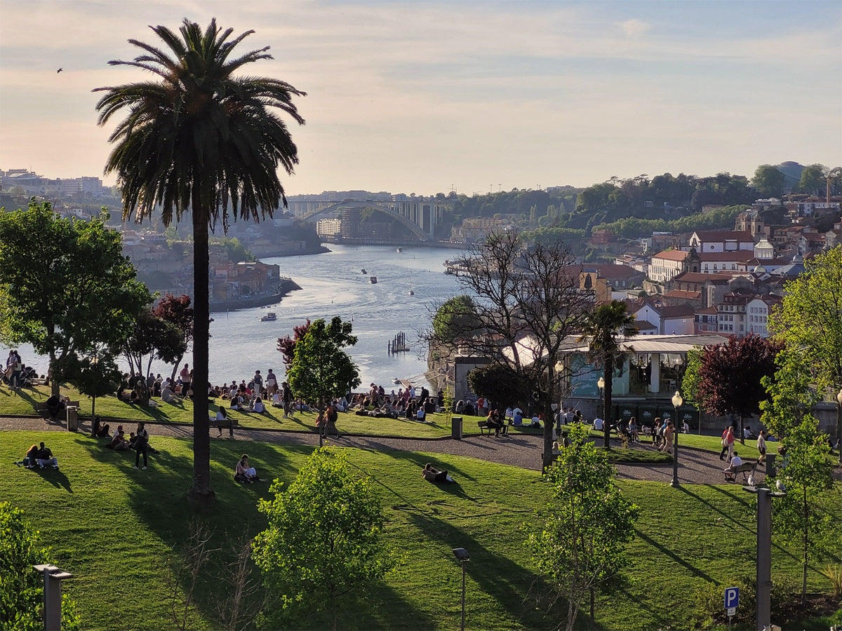 5 Best Views of Porto (and Gaia) You Can’t Miss