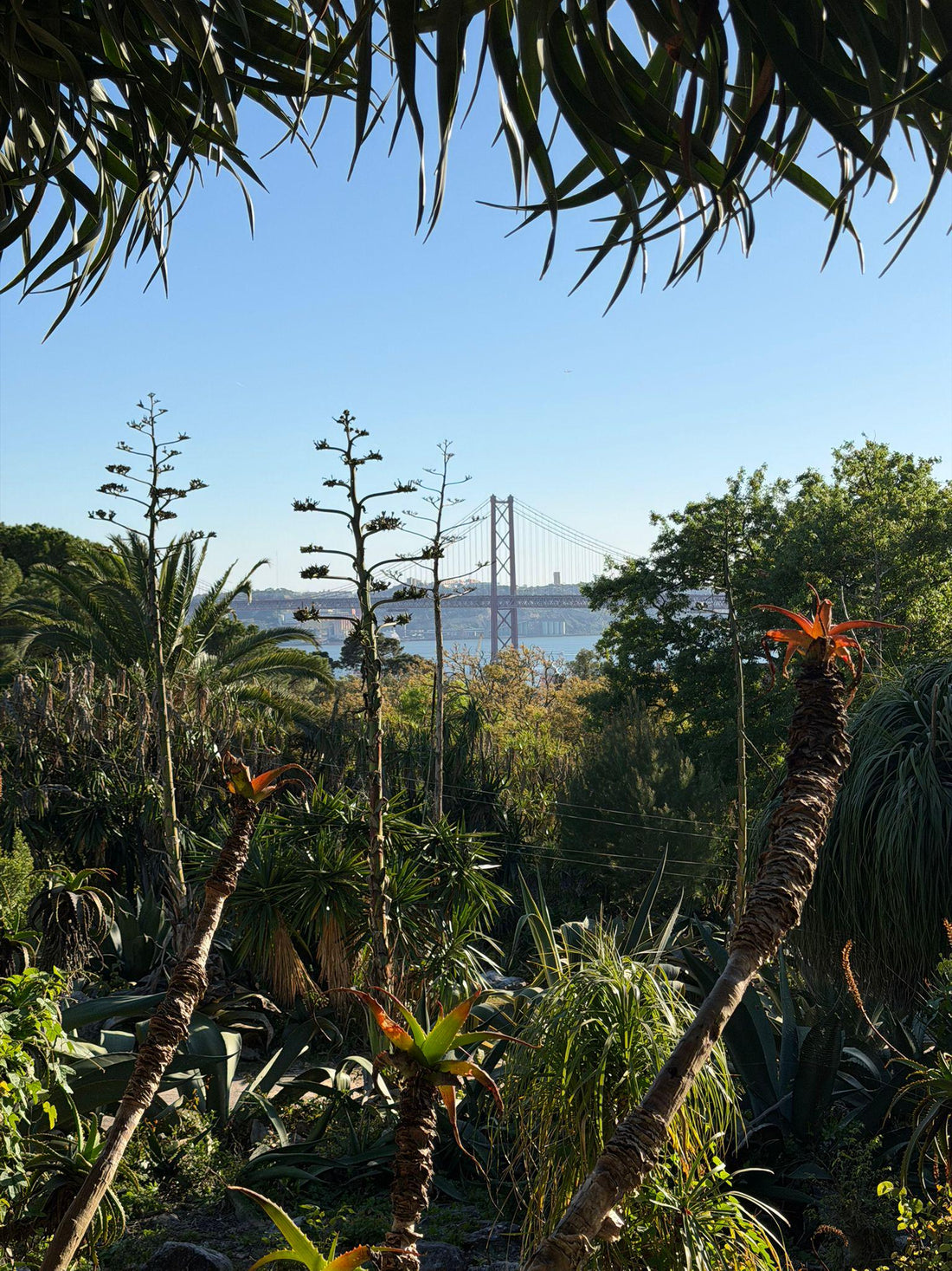 Gardens in Lisbon